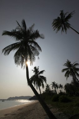 Tayland 'ın Chumphon ili yakınlarındaki Pak Nam Plajı, Ko Tao, Mart 2010