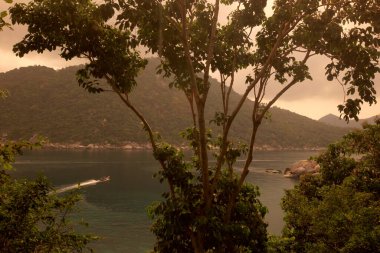 Tayland 'ın Surat Thani ilindeki Ko Tao Adası' nın yanındaki Ko Nang Yuan adasında küçük bir koy, sahil ve peyzaj, Mart 2010