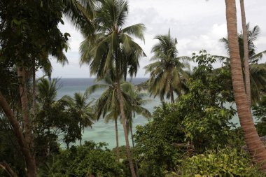 Tayland 'ın Surat Thani ilindeki Ko Tao Adası' ndaki Sairee Köyü yakınlarında bir sahil ve sahil, Ko Tao, Mart 2010