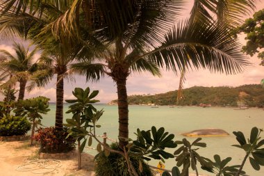 Tayland 'ın Surat Thani ilindeki Ko Tao Adası' ndaki Sairee Köyü yakınlarında bir sahil ve sahil, Ko Tao, Mart 2010