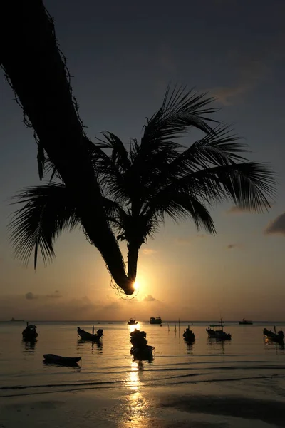 Palma Plaży Krajobraz Sairee Beach Mieście Sairee Village Wyspie Tao — Zdjęcie stockowe