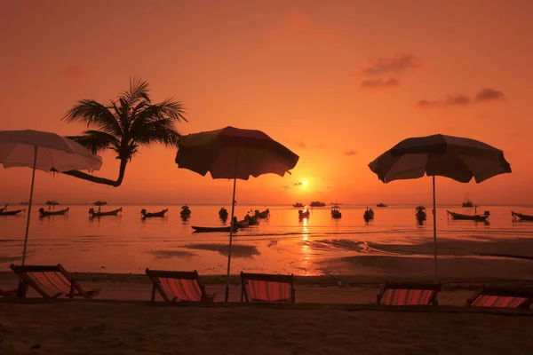 Пальмтрі Пляжі Ландшафті Пляжу Саїрі Селі Саїрі Острові Тао Провінції — стокове фото