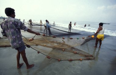 İnsanlar balık ağıyla balık tutuyor ve taze balıkları ayırıyor ve onları Hindistan, Hindistan, Goa, Nisan 1996 'da Kolva şehrindeki bir balıkçı köyünün sahilinde satıyorlar.