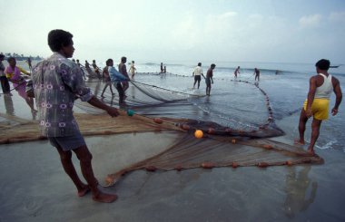 İnsanlar balık ağıyla balık tutuyor ve taze balıkları ayırıyor ve onları Hindistan, Hindistan, Goa, Nisan 1996 'da Kolva şehrindeki bir balıkçı köyünün sahilinde satıyorlar.