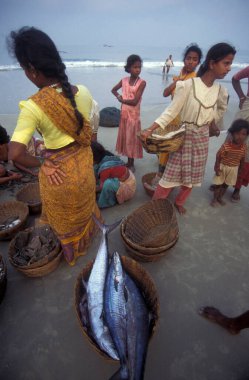 Balıkçılar taze balıkları ayırıyor ve Hindistan, Hindistan, Goa, Nisan 1996 'da Kolva şehrindeki bir balıkçı köyünün sahilinde satıyorlar.