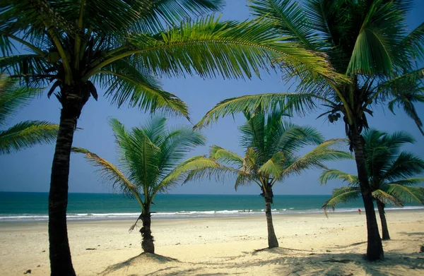 Пляж Ландшафтом Побережье Городе Вагатор Провинции Гоа Индии Гоа Апрель — стоковое фото