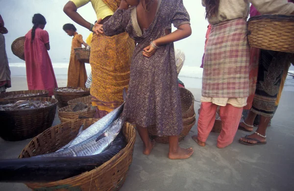 Fishing People Sort Out Fresh Fish Sale Beach Fishing Village — Stock Photo, Image