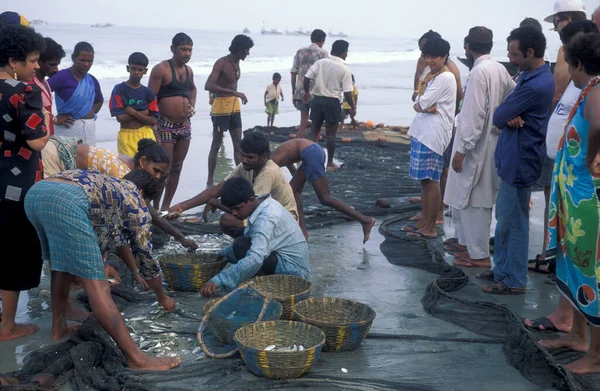Ludzi Łowiących Sieci Rybackie Sortujących Świeże Ryby Sprzedających Plaży Wioski — Zdjęcie stockowe