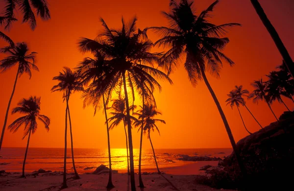 Sunset Beach Landscape Coast Town Vagator Province Goa India India — Stock Photo, Image