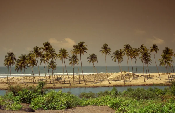 Hindistan Hindistan Goa Goa Vagator Şehrinde Peyzaj Sahile Sahip Bir — Stok fotoğraf