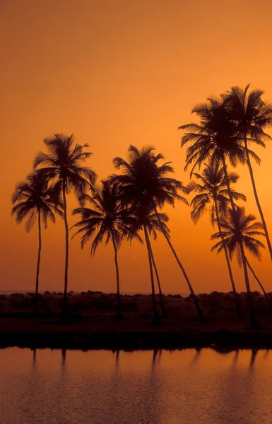 Zachód Słońca Plaży Krajobrazem Wybrzeżem Mieście Vagator Prowincji Goa Indiach — Zdjęcie stockowe