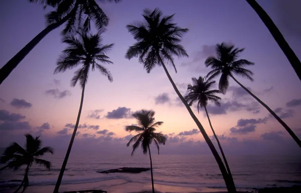 stock image a sunset at Beach with Landscape and Coast at the Town of Vagator in the Province of Goa in India,  India, Goa, April, 1996