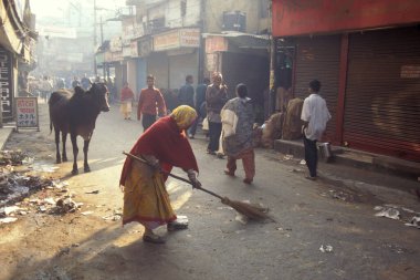 Delhi 'nin eski bir kasabası olan Delhi' deki insanlar ve kutsal inekler. Hindistan, Delhi, Şubat 1998