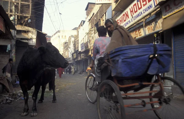 新德里旧城的人民和圣牛在印度的德里市 伊斯坦布尔 1998年 — 图库照片
