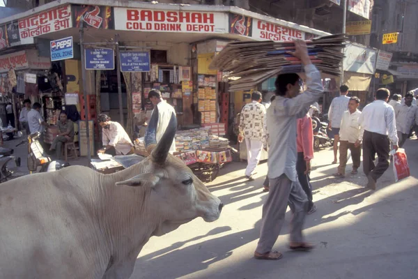 Ludzie Święte Krowy Starym Mieście Starego Delhi Mieście Delhi Indiach — Zdjęcie stockowe