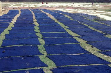 Hindistan 'ın Mumbai şehrinde tekstil boyayan insanlar. Hindistan, Mumbai, Mart 1998