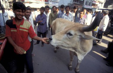 Hindistan 'ın Mumbai şehrindeki insanlar. Hindistan, Mumbai