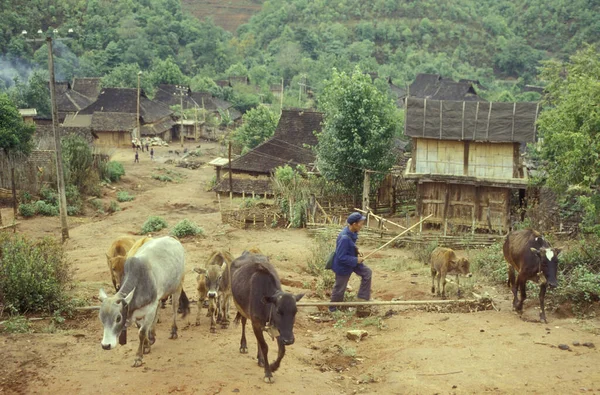 東アジアの中国雲南省の孟海市近くの農業用地にある村 中国雲南省1996年4月 — ストック写真