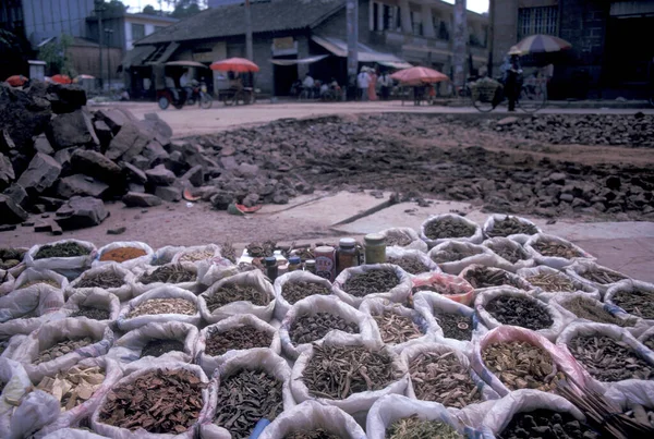 中国の伝統医学中国雲南省の東アジア地域の西双版納の金正日の町の近くの市場で 中国雲南省1996年4月 — ストック写真