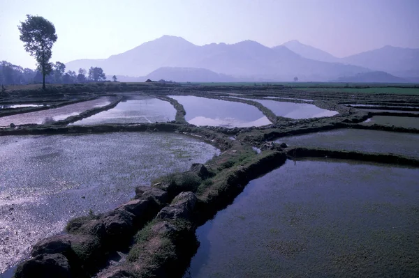 Agricultura Paisagem Cidade Dali Lago Hai Província Yunnan China Leste — Fotografia de Stock