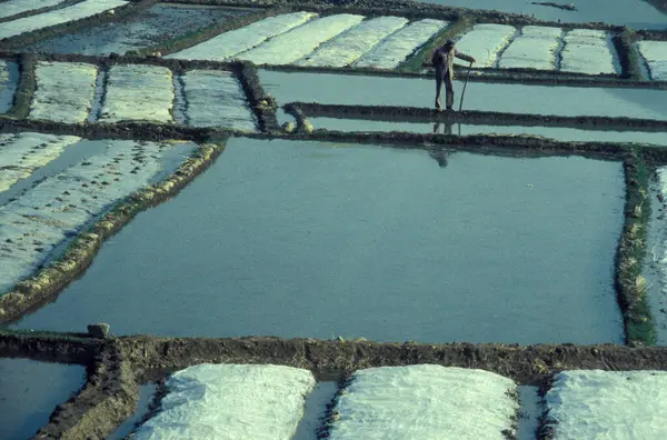 Agricultura Paisaje Ciudad Dalí Lago Hai Provincia Yunnan China Este — Foto de Stock