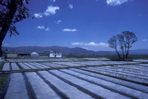 Landbouw Landschap Stad Dali Aan Het Hai Meer Provincie Yunnan — Stockfoto