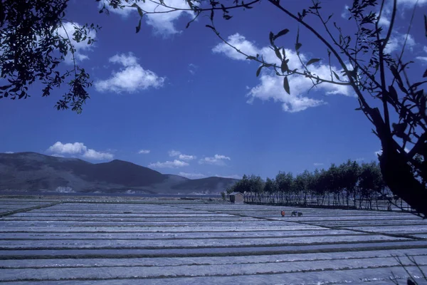 Сельское Хозяйство Ландшафт Городе Дали Озере Хай Провинции Юньнань Китае — стоковое фото