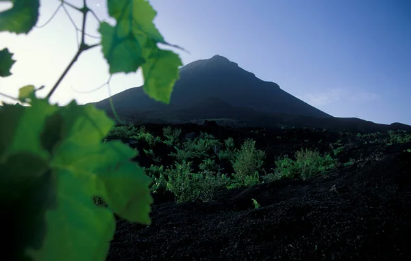 Tájkép Vulkánnal Fogo Hegyekkel Fogo Szigetén Zöld Foki Szigeteken Afrikában — Stock Fotó