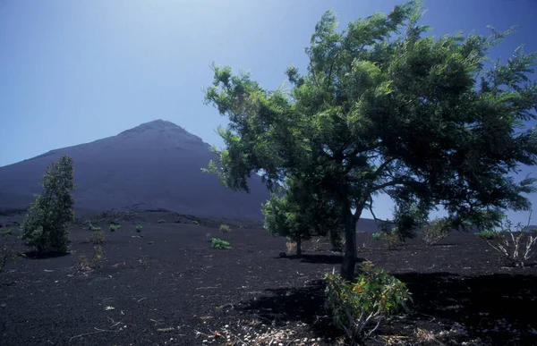 Ландшафт Вулканом Гори Фуго Острові Фоґо Островах Кабо Верде Африці — стокове фото