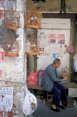 Hong Kong 'un Hong Kong şehrindeki Kowloon şehrindeki eski bir pazarda geleneksel kuş pazarı. Çin, Hong Kong, Mayıs 1997