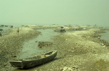 Bir istiridye çiftliğindeki deniz suyu istiridyesi ve Hong Kong 'daki Pak Nai köyündeki istiridye resifi. Çin, Hong Kong, Mayıs 1997