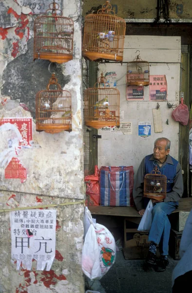 Традиционный Птичий Рынок Marketsttreet Старом Городе Kowloon Городе Hongkong Гонконге — стоковое фото