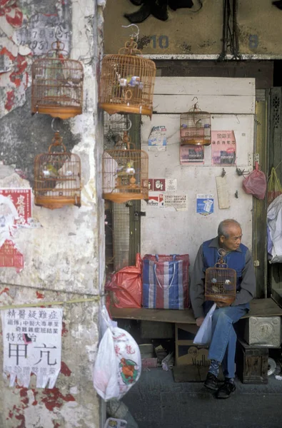 Традиционный Птичий Рынок Marketsttreet Старом Городе Kowloon Городе Hongkong Гонконге — стоковое фото