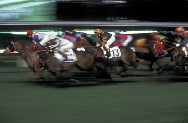 Horse Race Happy Valley Racecourse Central Hongkong City Hongkong Hongkong — Stock Photo, Image