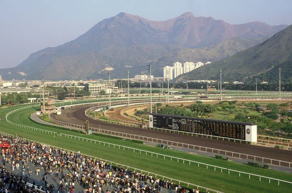 Horse Race Sha Tin City Hongkong Hongkong China Hongkong May — Stock Photo, Image