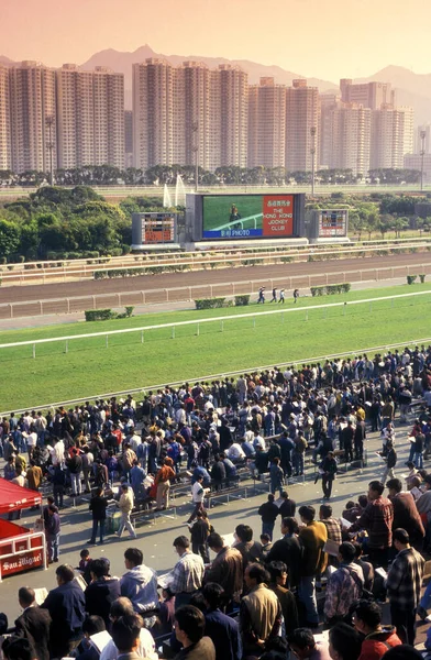 Horse Race Sha Tin City Hongkong Hongkong China Hongkong May — Stock Photo, Image