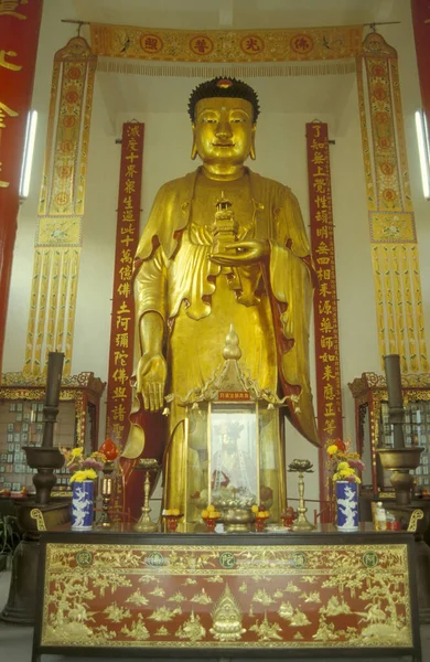 Kinesiska 1000 Buddhor Klostret Fook Hill Vid Pai Tau Village — Stockfoto