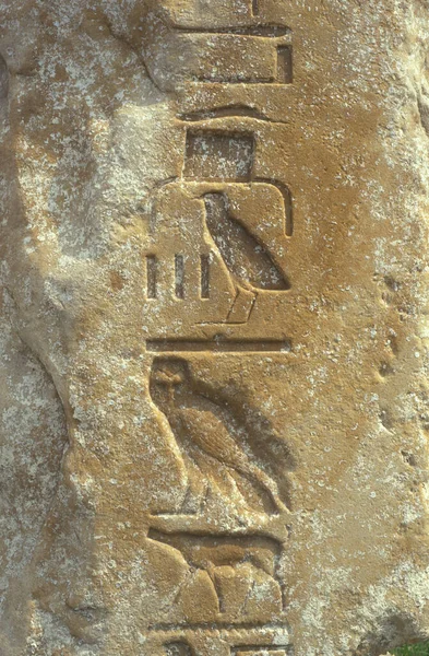 位于北非埃及首都开罗附近的吉萨金字塔上的石雕 2000年3月 — 图库照片