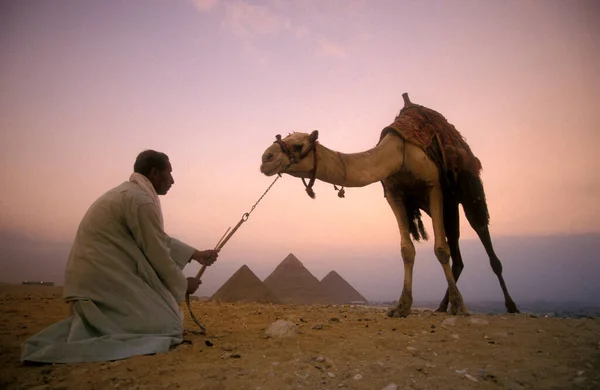 Kuzey Afrika Daki Mısır Başkenti Kahire Yakınlarındaki Giza Piramitleri Nin — Stok fotoğraf