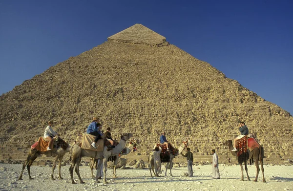 北アフリカのエジプトの首都カイロの近くのギザのピラミッドの前にカメルを持つベドウィン男性 エジプト カイロ 2000年3月 — ストック写真