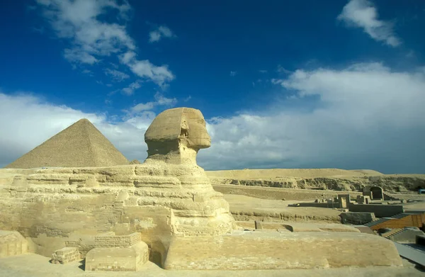 Пам Ятник Сфінксу Перед Пірамідами Гізи Біля Міста Каїр Столиці — стокове фото