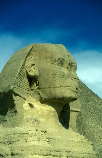 位于北非埃及首都开罗附近的吉萨金字塔前的狮身人面像 2000年3月 — 图库照片