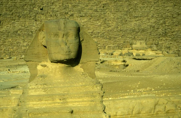 Μνημείο Της Σφίγγας Μπροστά Από Τις Πυραμίδες Της Γκίζας Κοντά — Φωτογραφία Αρχείου