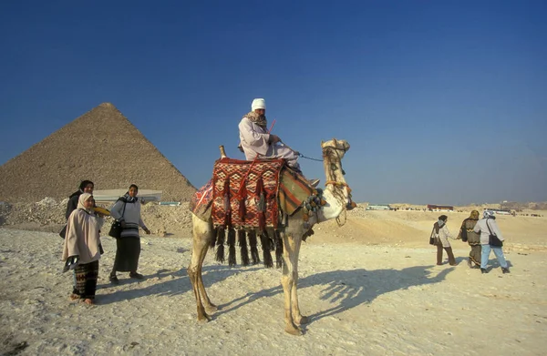 北アフリカのエジプトの首都カイロの近くのギザのピラミッドの前に彼のラクダとベドウィン エジプト カイロ 2000年3月 — ストック写真