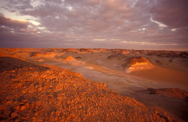 Landscape Nature White Desert Village Farafra Libyan Western Desert Egypt — Stock Photo, Image
