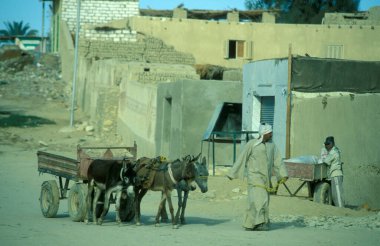Kuzey Afrika 'da, Libya' da, ya da Mısır 'ın doğu çölünde, Farafra vahasında eşek arabası olan bir adam. Mısır, Farafra, Mart 2000