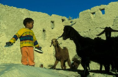 Kuzey Afrika 'da, Libya' nın eski Siwa köyünde ya da Mısır 'ın doğu çölünde bir çocuk. Mısır, Siwa, Mart 2000