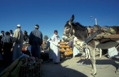 Kuzey Afrika 'nın Libya' daki eski Siwa Köyü 'ndeki ya da Doğu Mısır Çölü' ndeki Gıda Pazarı 'ndaki insanlar. Mısır, Siwa, Mart 2000
