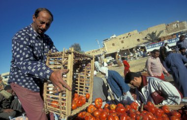 Kuzey Afrika 'nın Libya' daki eski Siwa Köyü 'ndeki ya da Doğu Mısır Çölü' ndeki Gıda Pazarı 'ndaki insanlar. Mısır, Siwa, Mart 2000