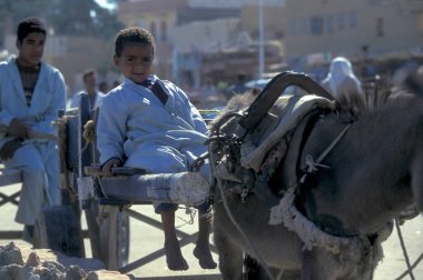 Kuzey Afrika 'nın Libya' daki eski Siwa Köyü 'ndeki ya da Doğu Mısır Çölü' ndeki Gıda Pazarı 'ndaki insanlar. Mısır, Siwa, Mart 2000